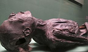 Tajemství světových muzeí II (3)