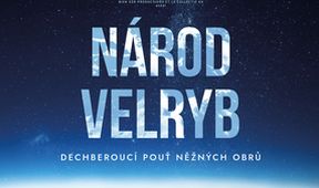 Národ velryb