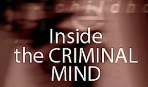 V mysli zločince (2)