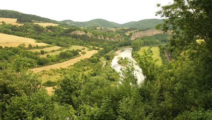 Bohemia Incognita