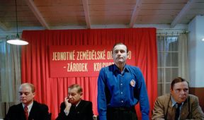 Zdivočelá země (7)