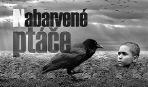Nabarvené ptáče, Velikáni filmu... Václav Marhoul