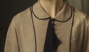 Panství Downton VI (4)
