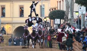 Království divočiny: Koně z náhorní planiny Giara, Sardinie