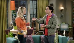 The Big Bang Theory IV (13/24)