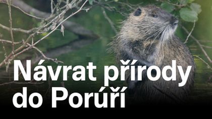 Návrat přírody do Porúří