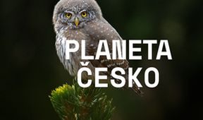 Planeta Česko