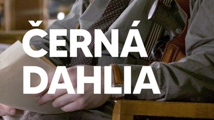 Černá Dahlia