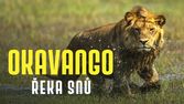 Okavango - řeka snů (3/4)
