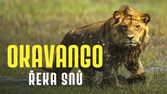 Okavango - řeka snů (4/4)