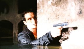 Anthropoid