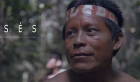 Matsés