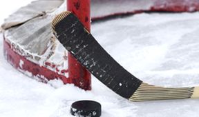 Lední hokej: SHL