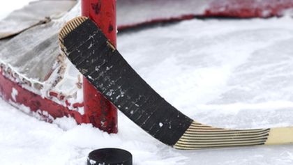 Hokej: HC VERVA Litvínov - Mountfield HK