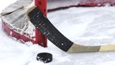Hokej: Mountfield HK - HC VERVA Litvínov