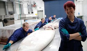 Mytická monstra oceánských hlubin
