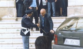 Komisař Montalbano