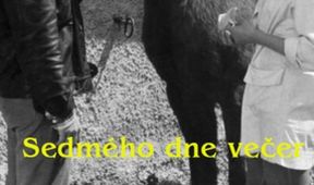 Sedmého dne večer