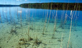 Stechlin: Svět průzračných jezer