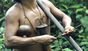Ohrožená Amazonie, Kamera na cestách (3/3)