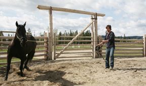 Ranč Heartland II (11/18)