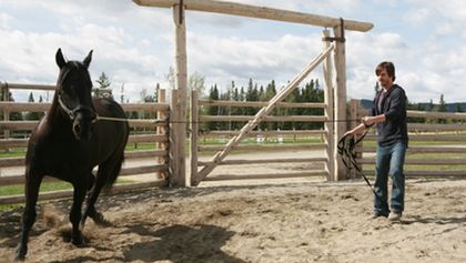Ranč Heartland II (11/18)