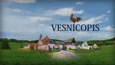 Vesnicopis