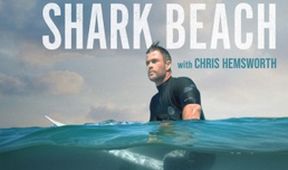 Chris Hemsworth na pláži žraloků