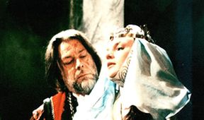 Bronzová koruna