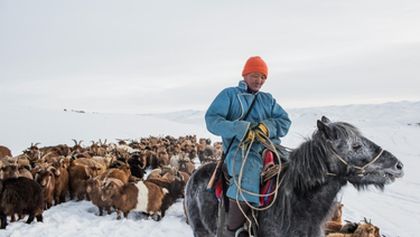 Divoké Mongolsko: země extrémů (3)