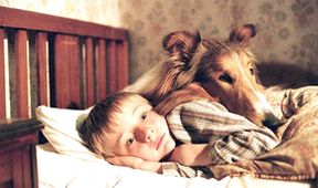 Lassie