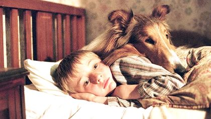 Lassie