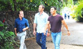 Hawaii 5-0 IV (3)
