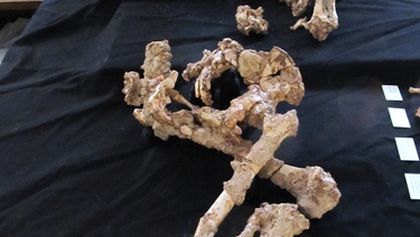 Odkaz neandertálců