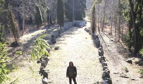 Vikingové (1/3)