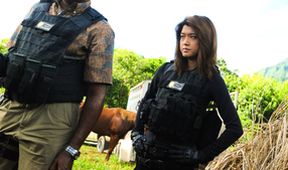 Hawaii 5-0 V (9)