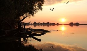 Dunaj - evropská Amazonka (1/2)