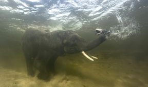 Planeta Země: Od pólu k pólu