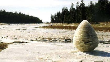 Andy Goldsworthy (2/2)