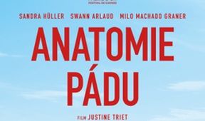 Anatomie pádu