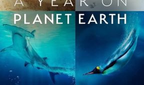 Rok na Planetě (1)