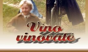 Víno vinovaté