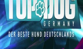 Top Dog Germany - Der beste Hund Deutschlands