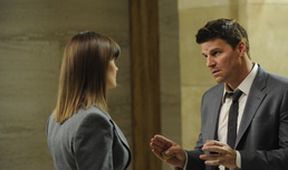 Kosti VIII (8/24)