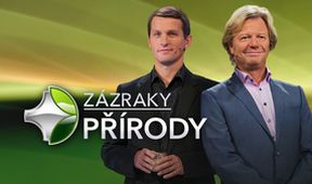 Zázraky přírody