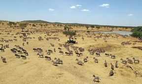 Serengeti II, Zázračná planeta (5/6)