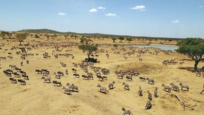Serengeti II, Zázračná planeta (5/6)