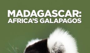 Madagaskar: Africké Galapágy