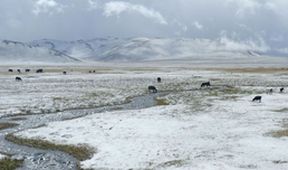 Tajemství v ledu II (4)