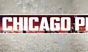 Policie Chicago IX (1)